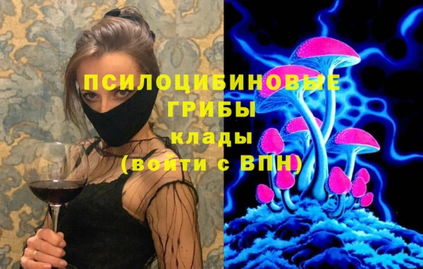 ПСИЛОЦИБИНОВЫЕ ГРИБЫ Бородино